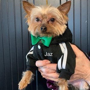 Meet your Posher, Ron